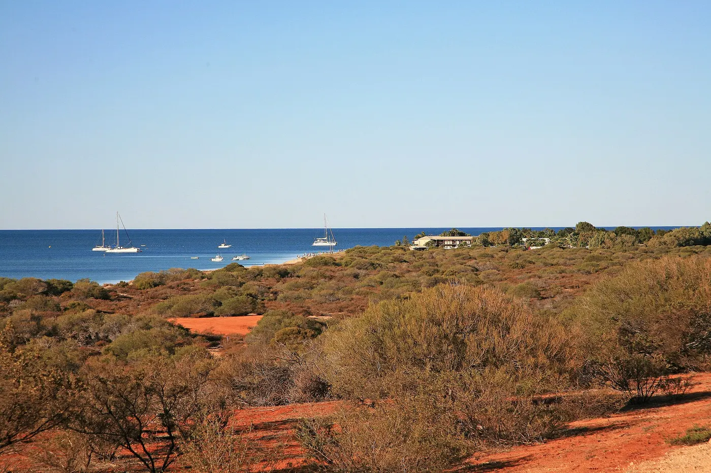 Shark Bay Caravan Park, Denham