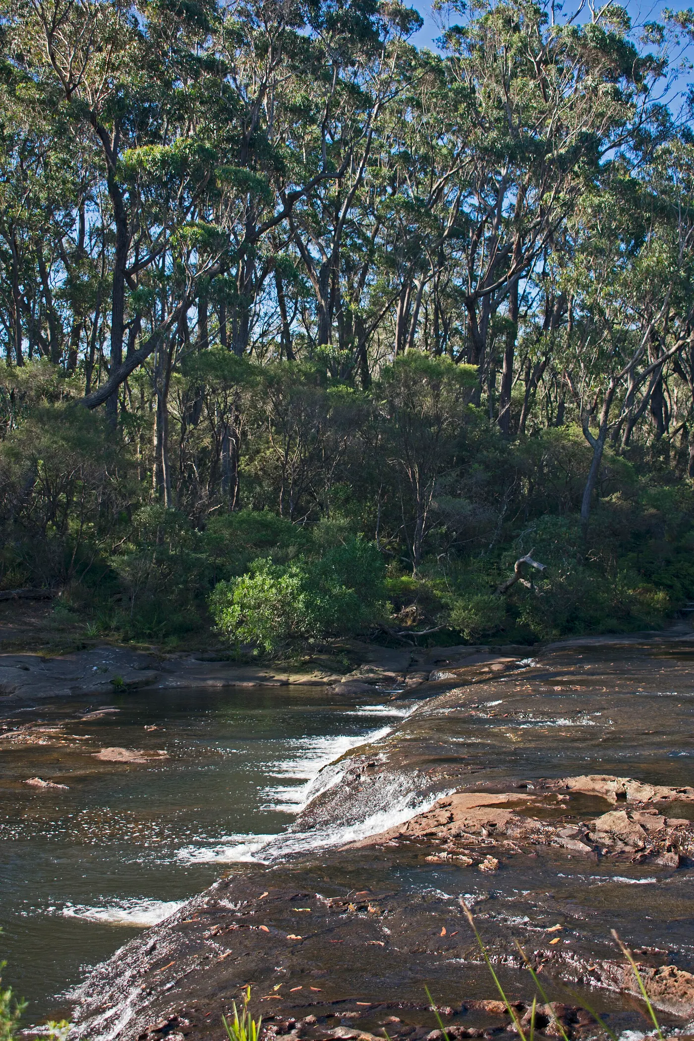 Carrington Falls Campground, Robertson