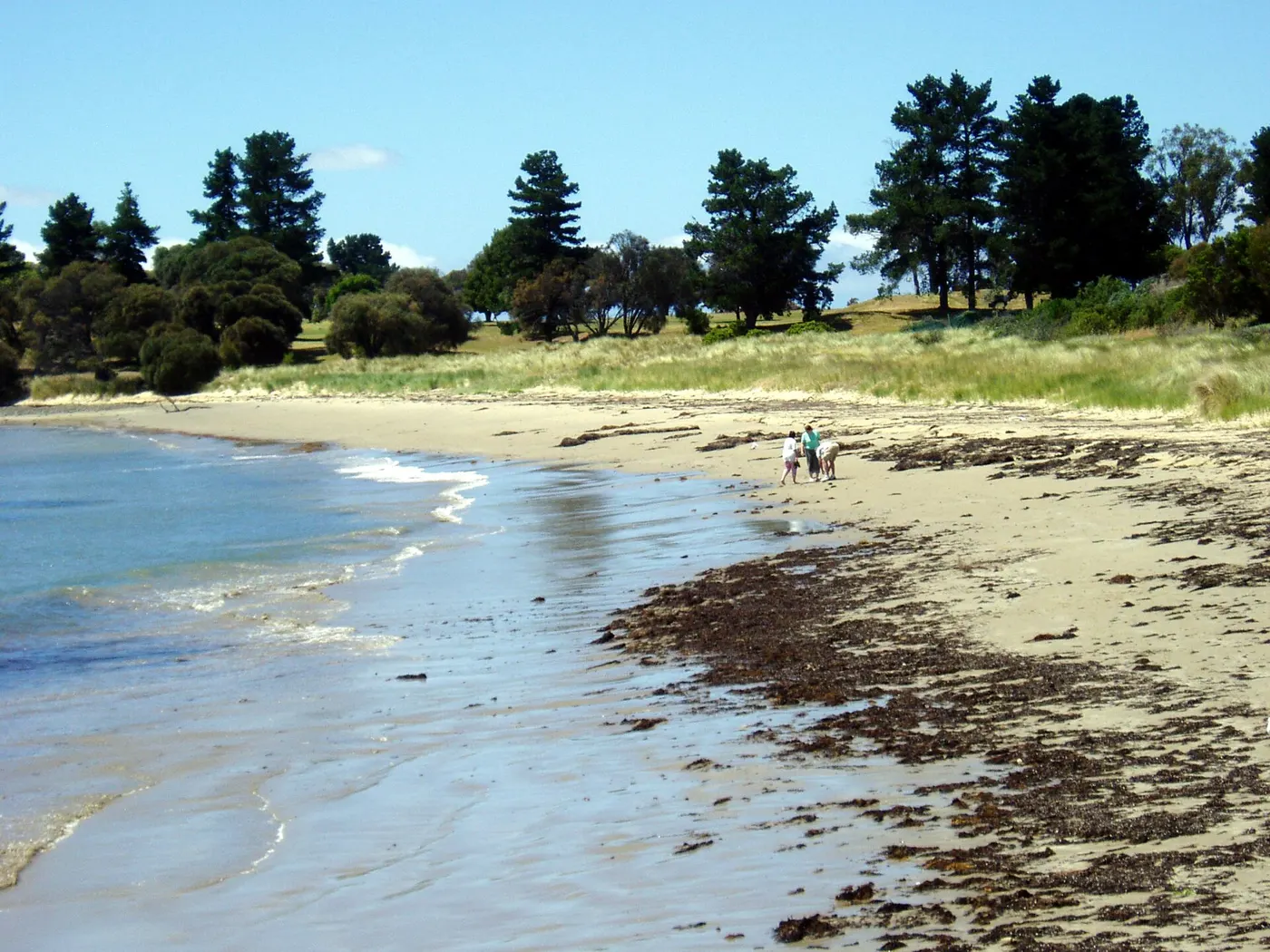 Places to stay around Bicheno