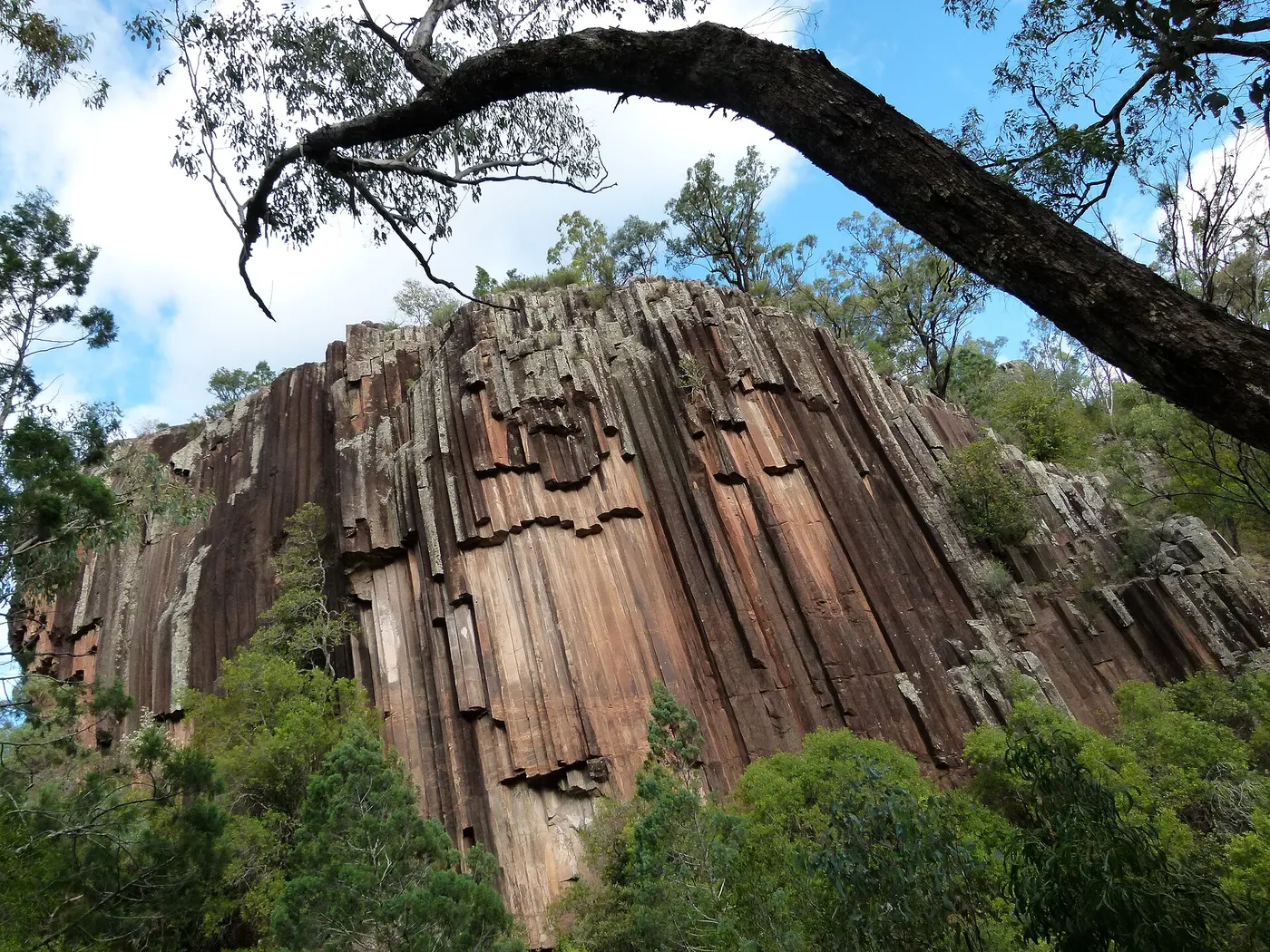 Bark Hut Campground, Kaputar