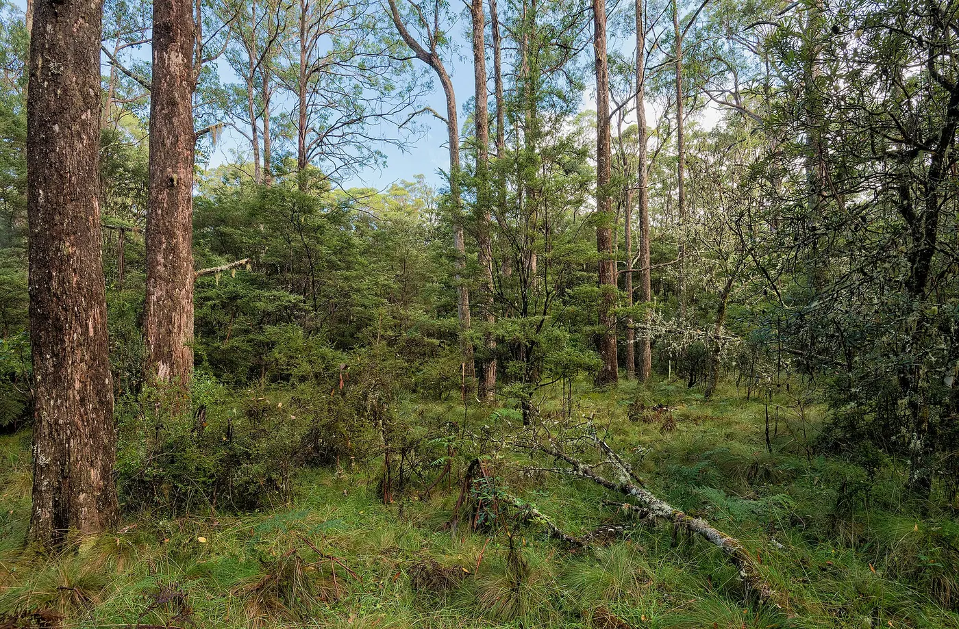 Thungutti campground, Ebor