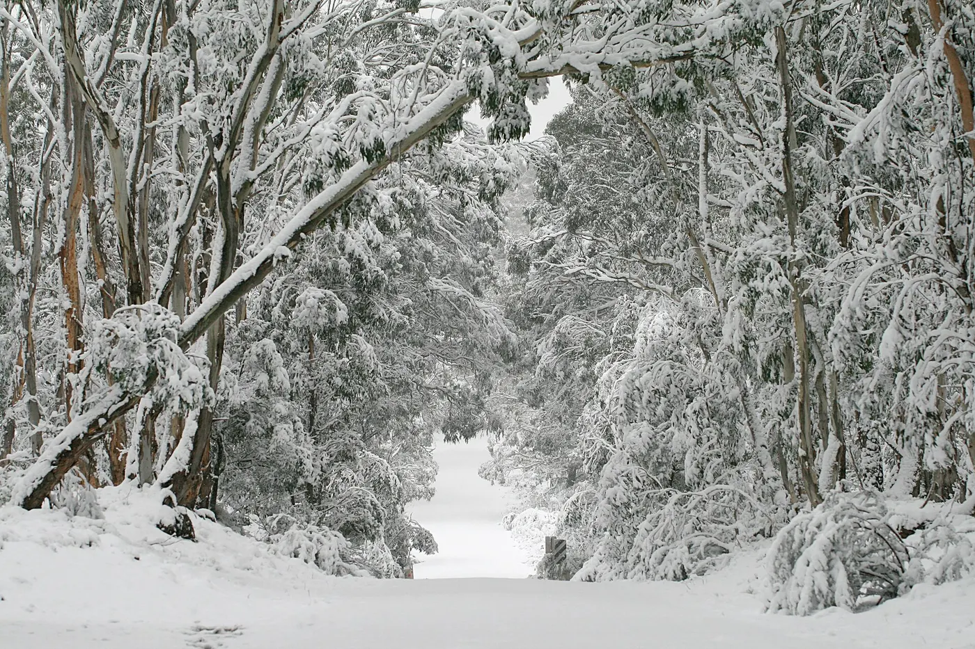 Boyd River Campground, Kanangra