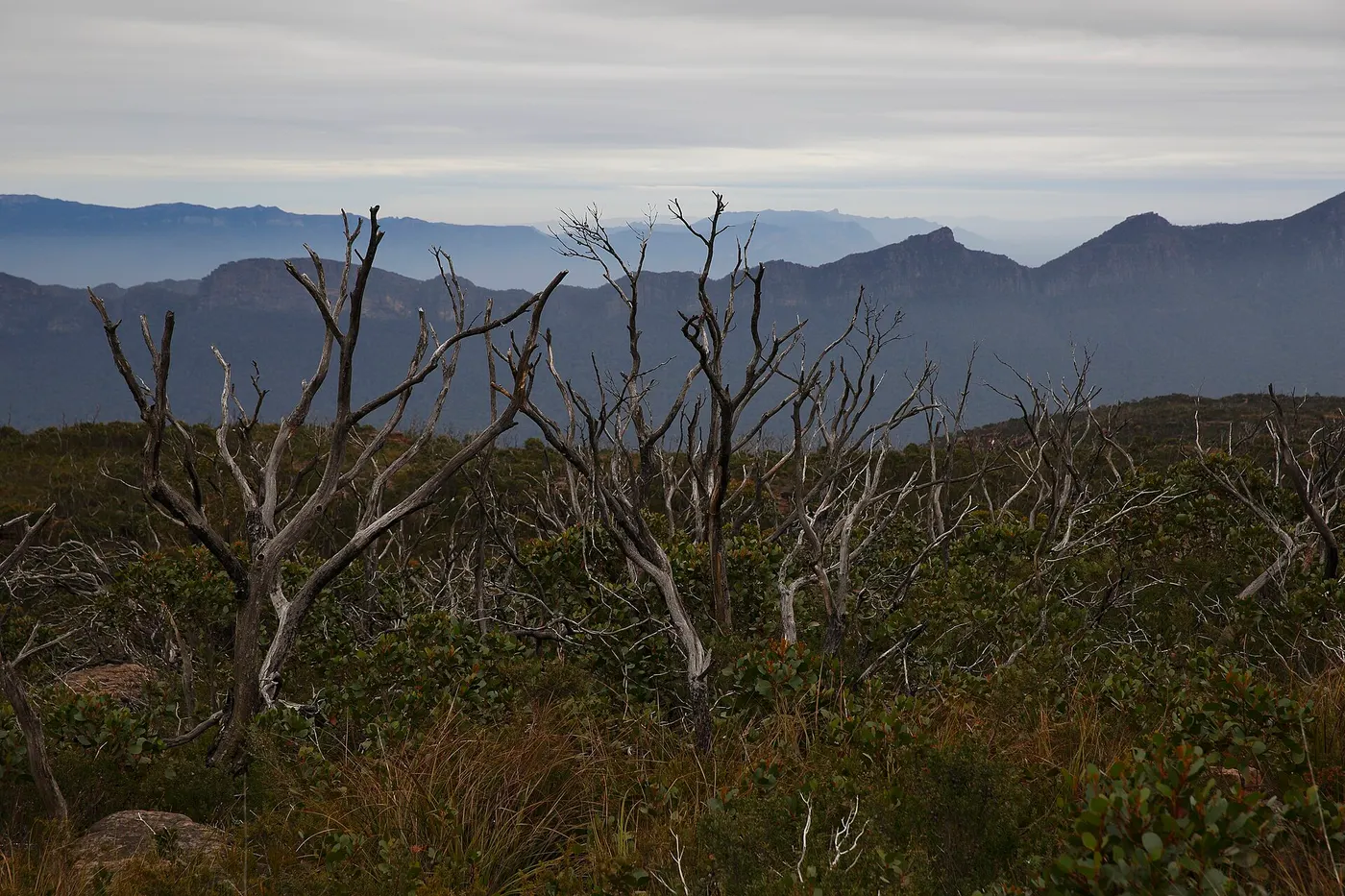 First Wannon Hiker Camp, Mafeking