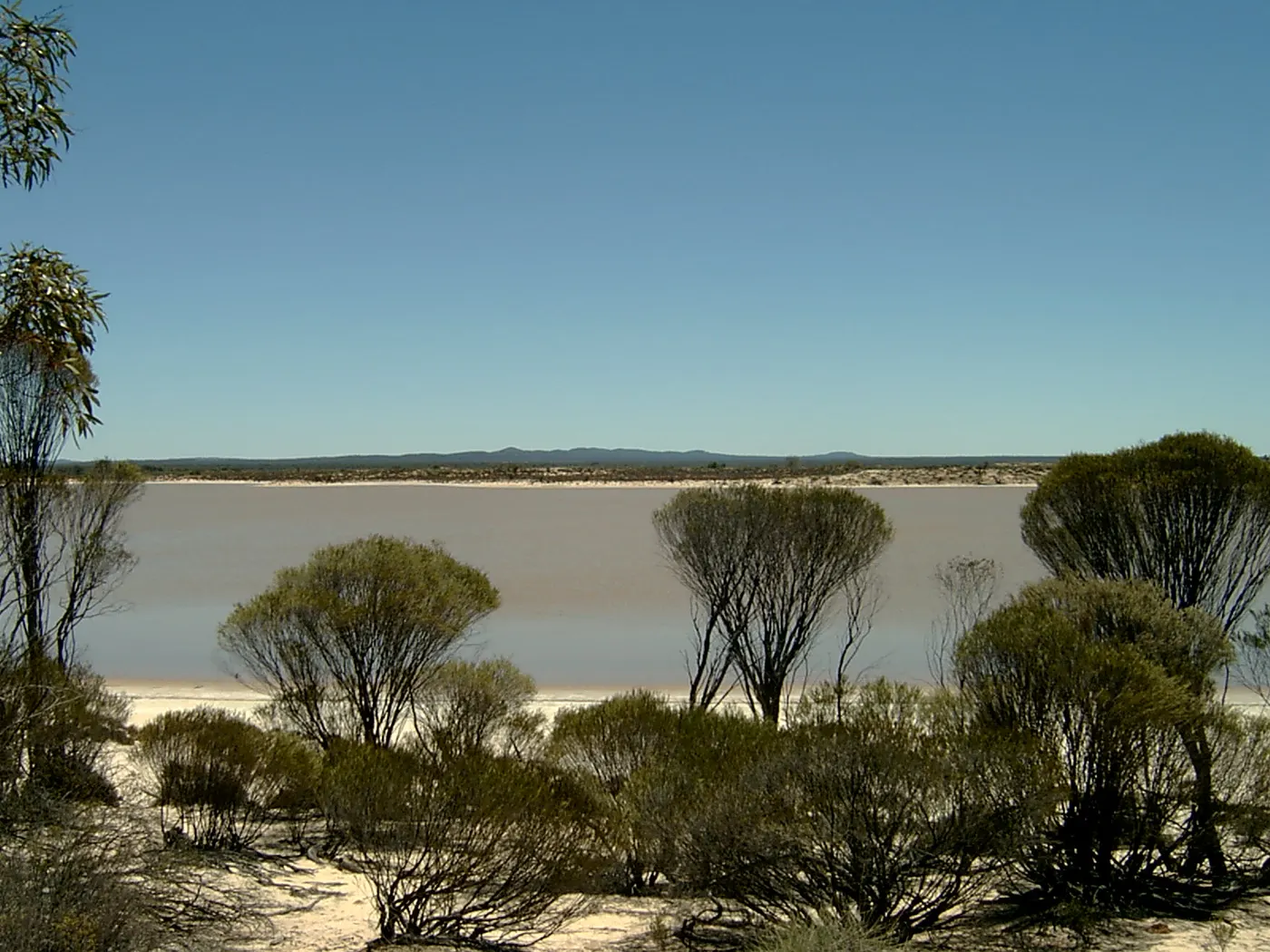 Lake Gilles Conservation Park, Lake Gilles