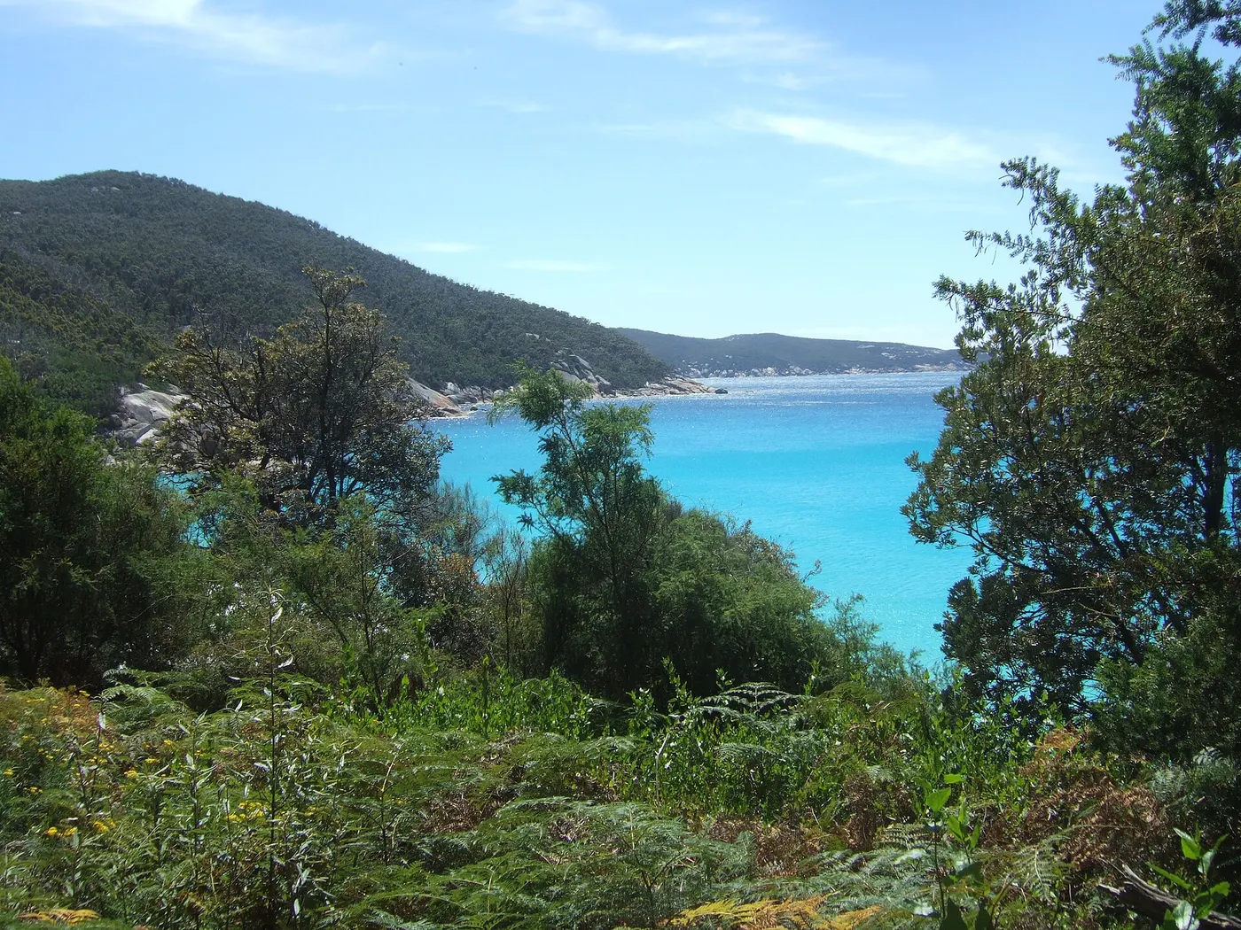Little Waterloo Bay Campground, Wilsons Promontory