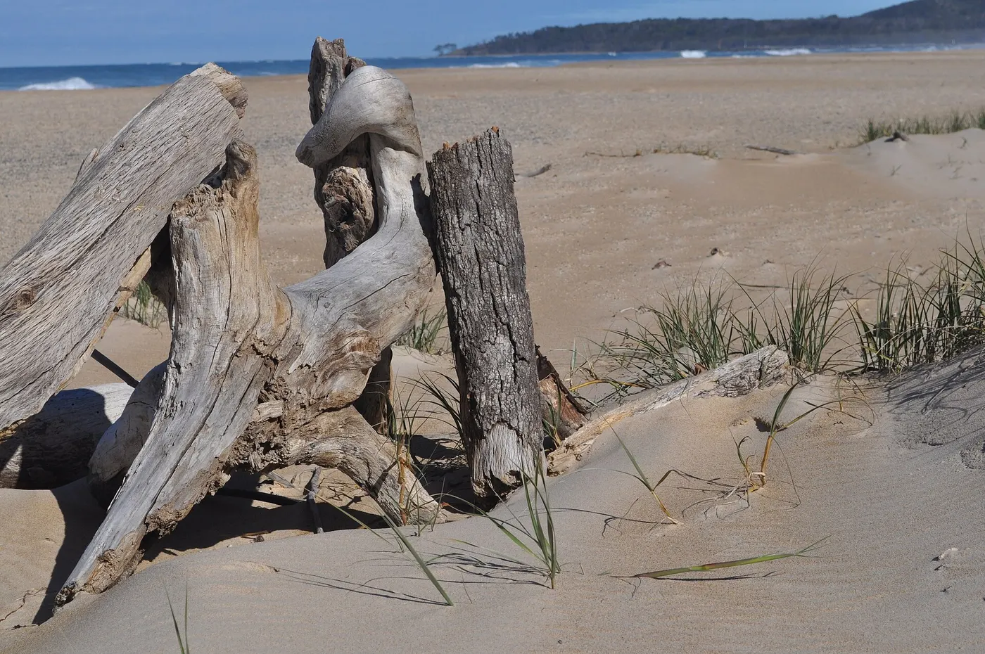 Wooli Camping and Caravan Park, Wooli