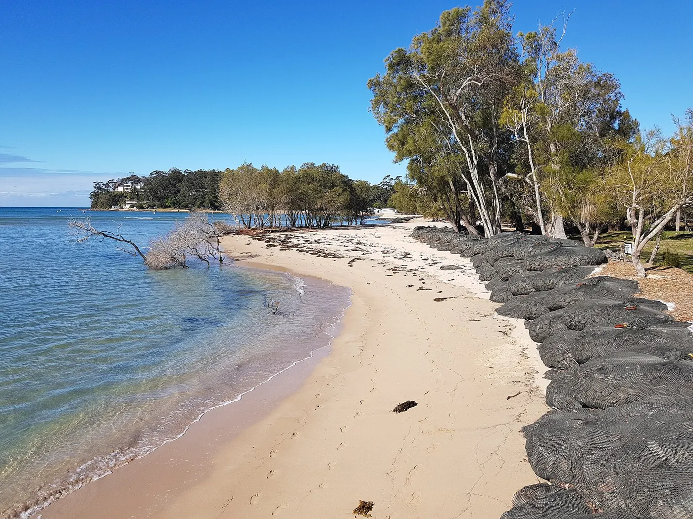 Camping in Sydney