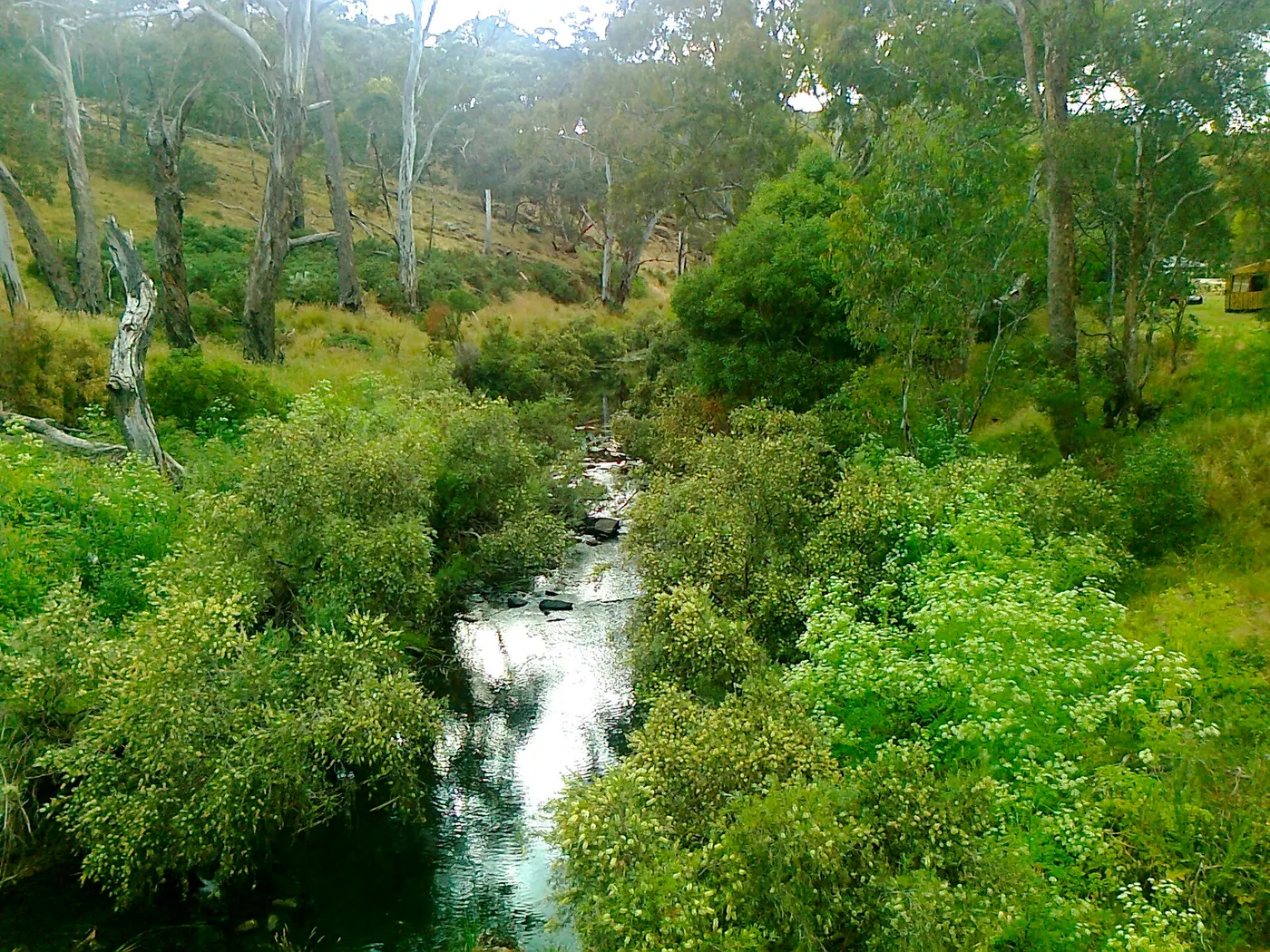 Upper Terrace Camping Ground at Vaughan Springs in CDNHP, Vaughan