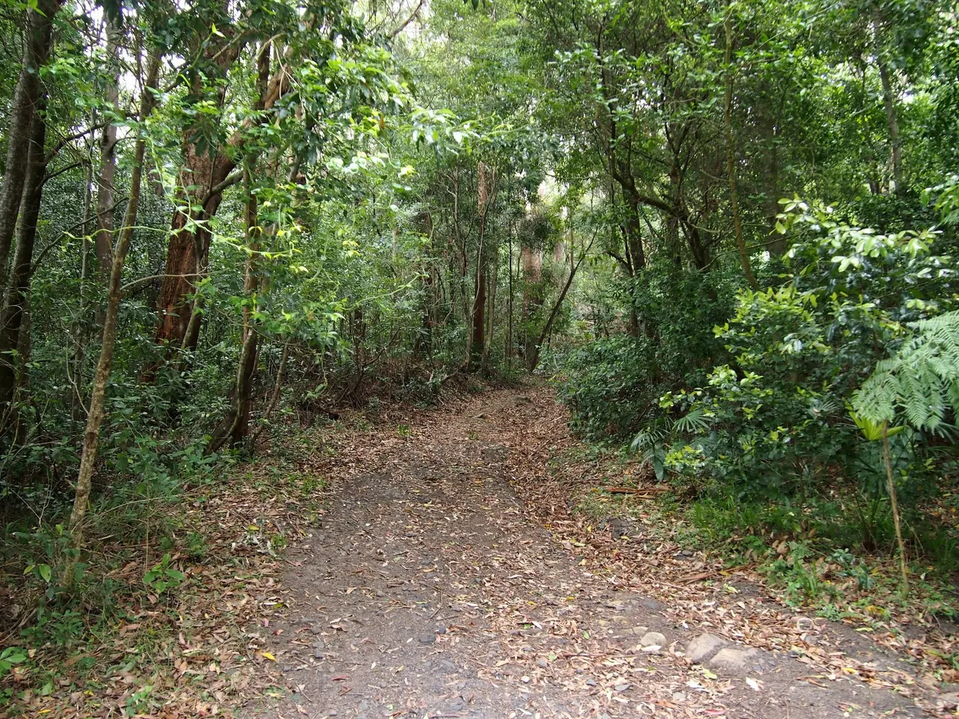 Austinmer campground, Austinmer