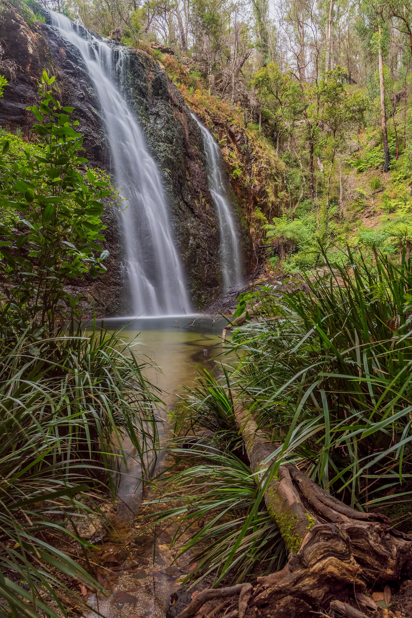 Boundary Falls campground, Moogem