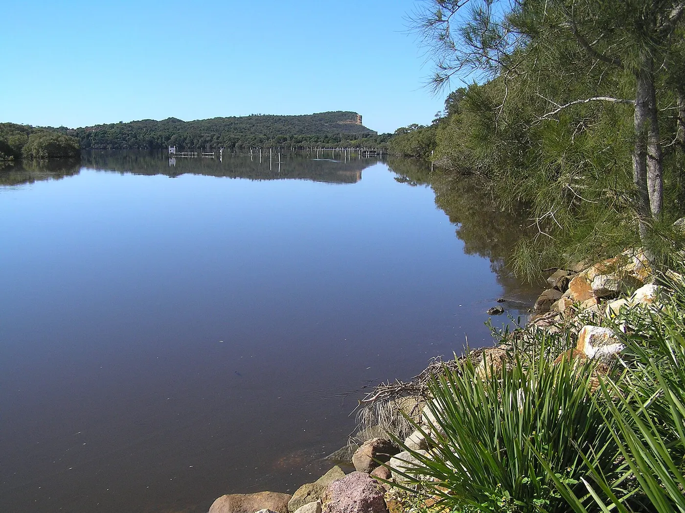 Dunbogan Caravan Park, Dunbogan