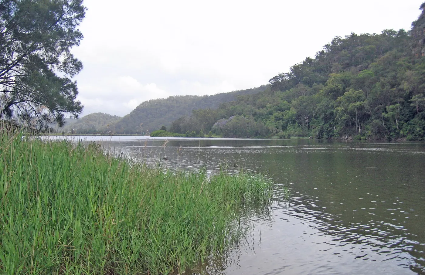 NSW Water Ski Gardens, Wisemans Ferry