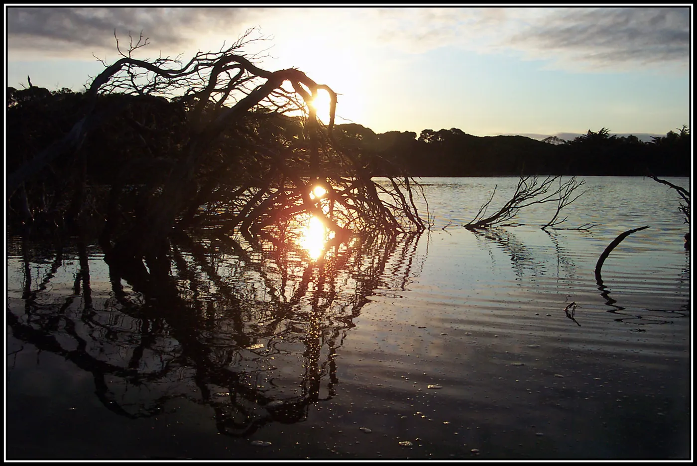 Lakeside Tourist Park, Robe