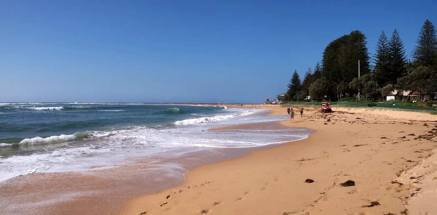Toowoon Bay Van Park, Toowoon Bay