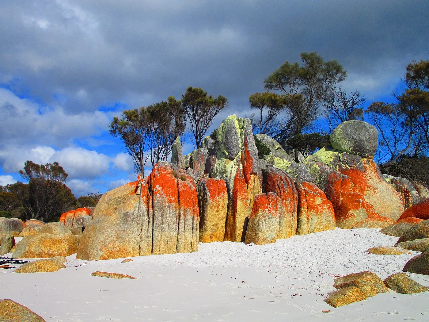 Cosy Corner North Camp Ground, Binalong Bay