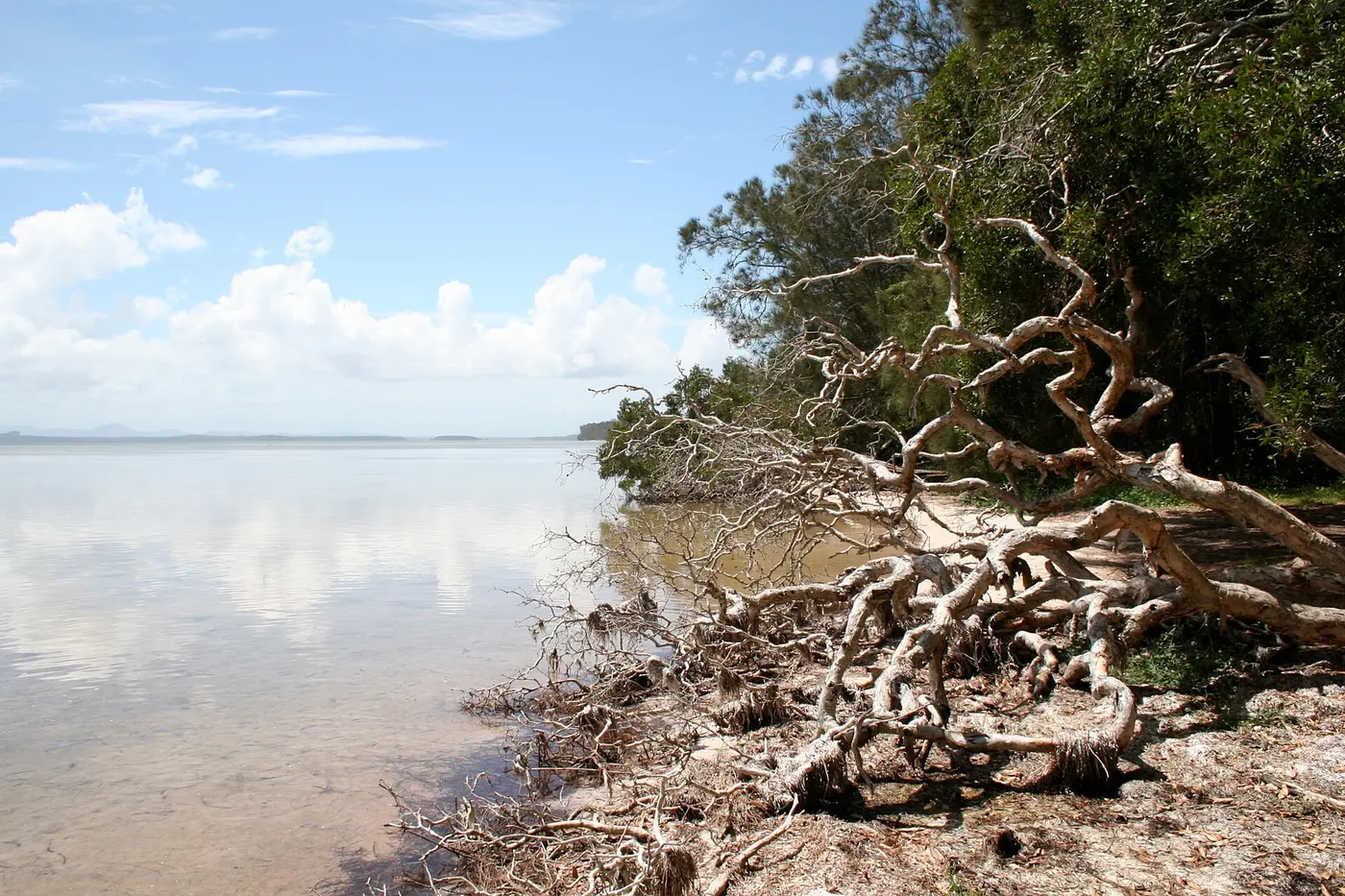 The Ruins Campground and Picnic Area, Booti Booti