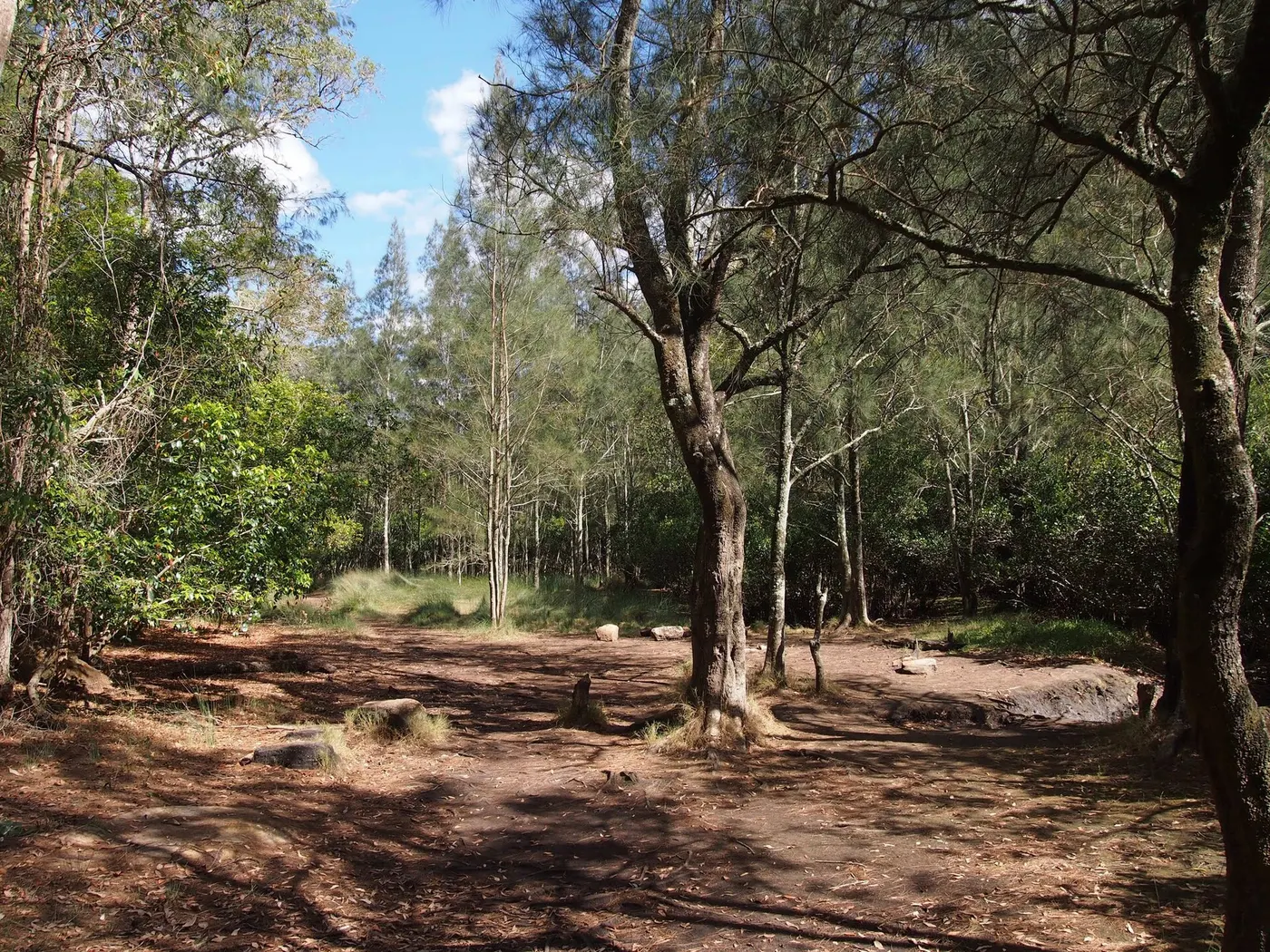 GNW No.6 camp, Mount Kuring-gai