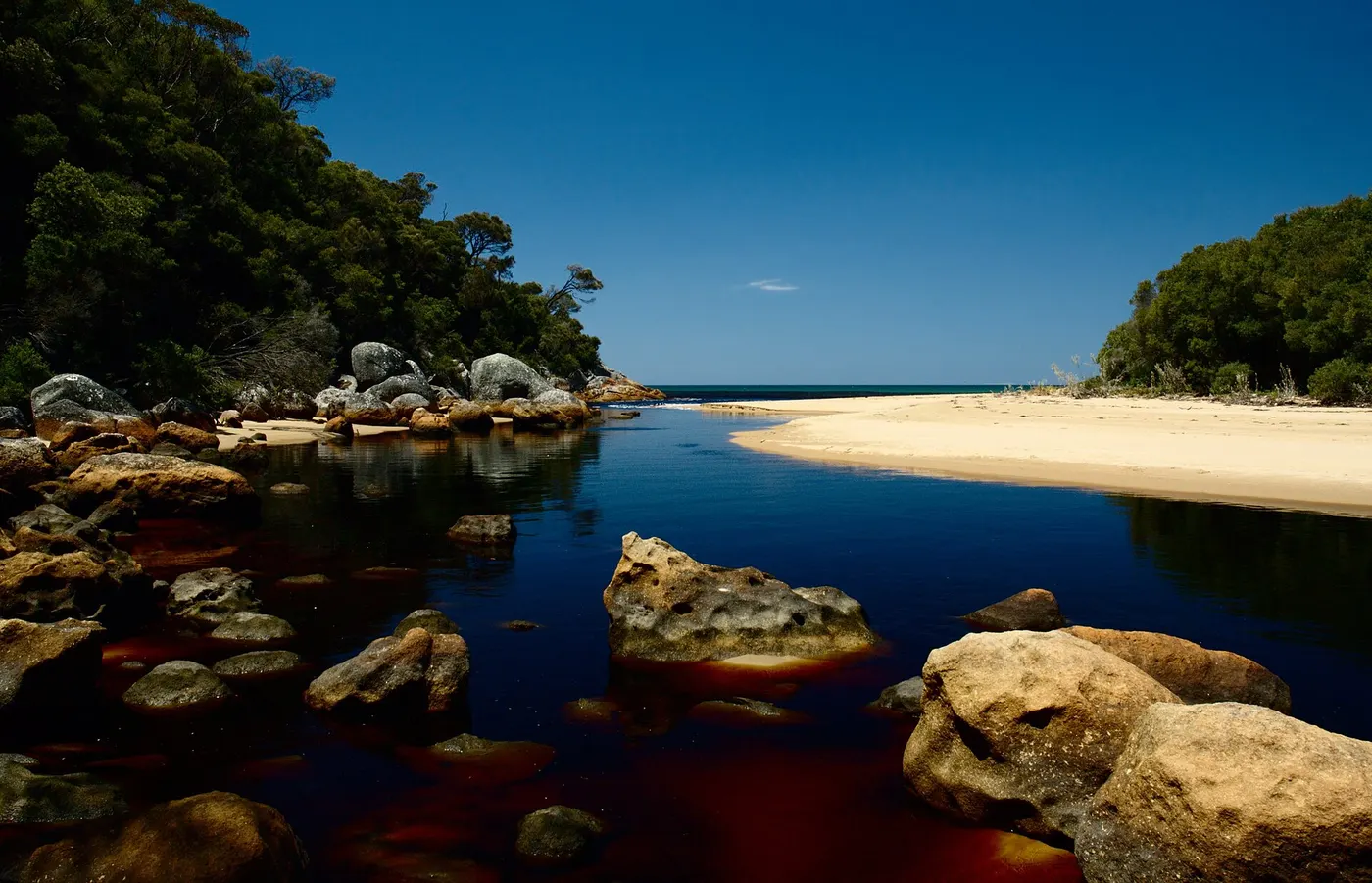 Five Mile Beach Campground, Wilsons Promontory