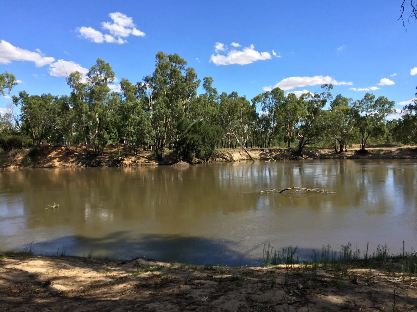 Platt Beach campground, Cudgel