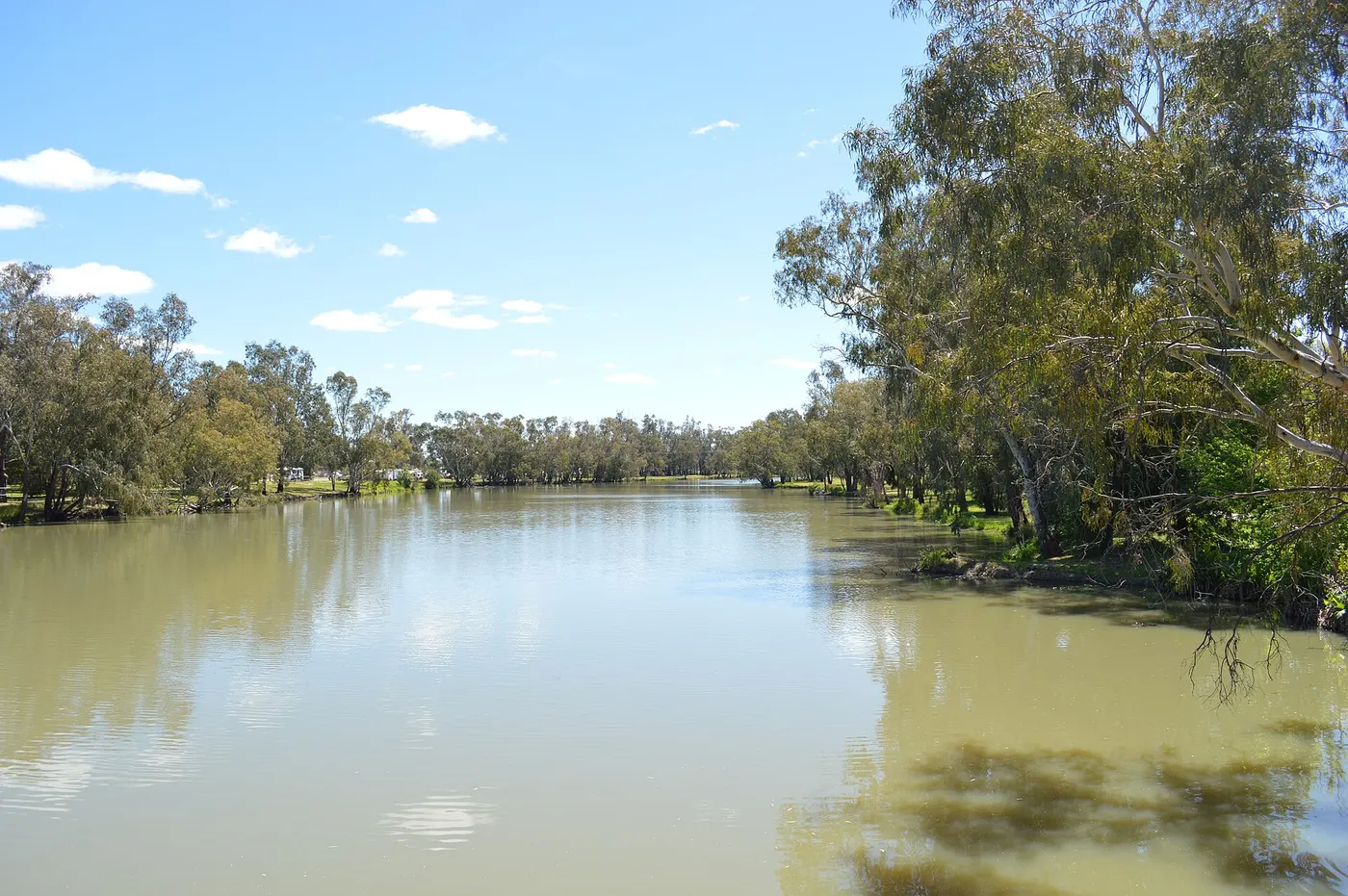 Forbes Lions Park, Forbes