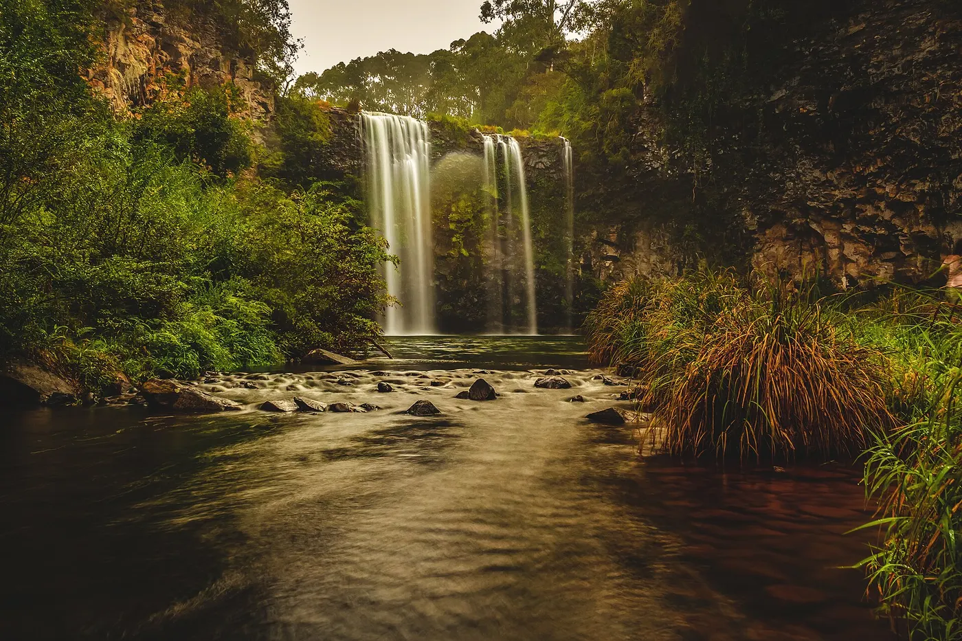 Dangar Falls Lodge Camp & Caravan, Dorrigo