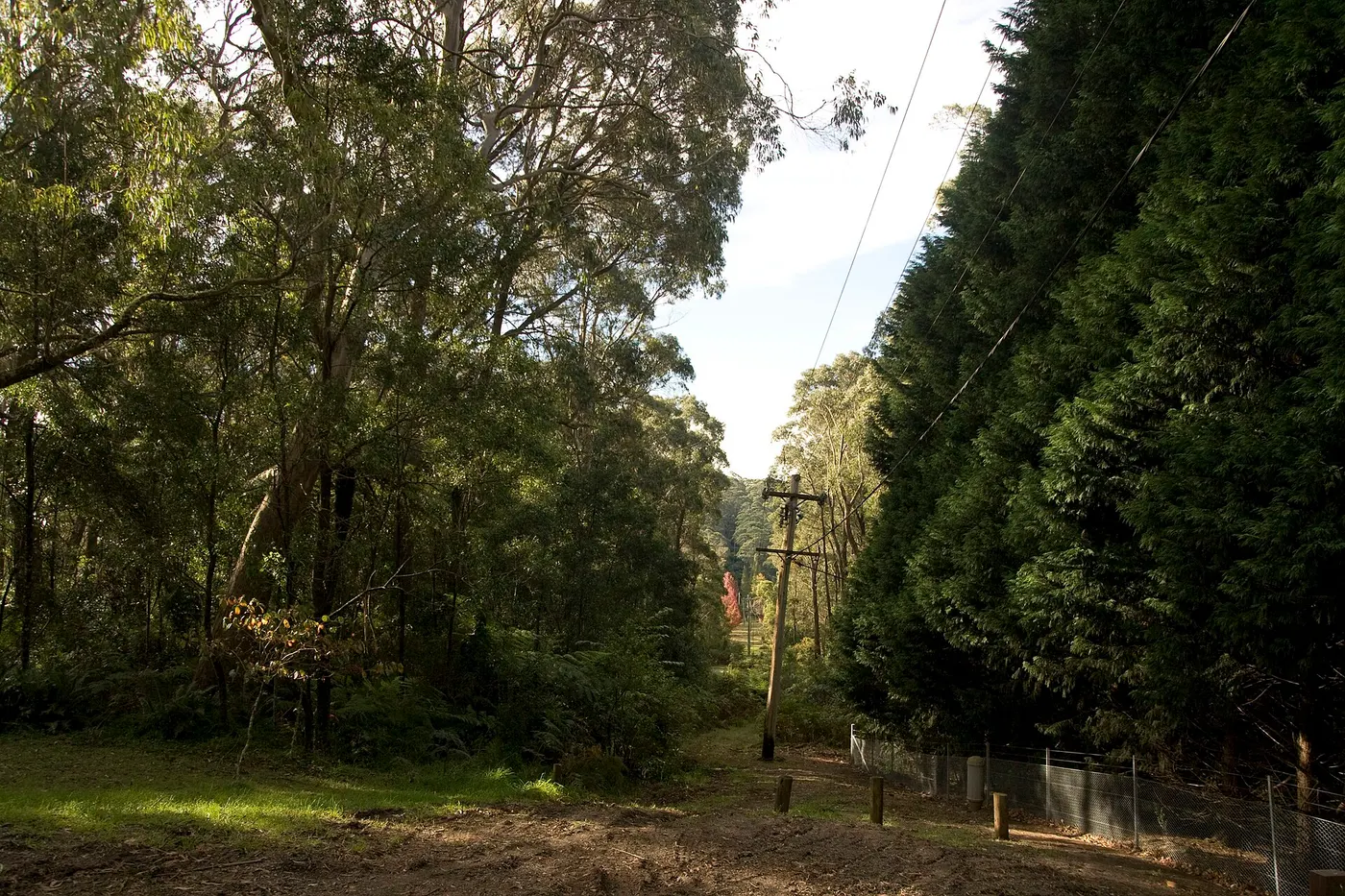 Cathedral Reserve Camping Ground, Mount Wilson