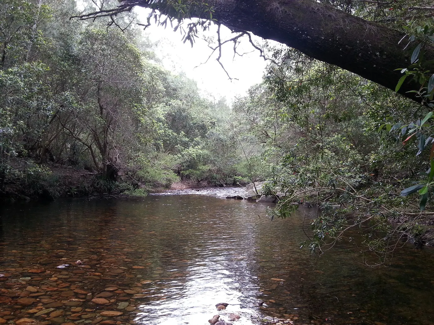 Long Gully No.1 campground, Yadboro