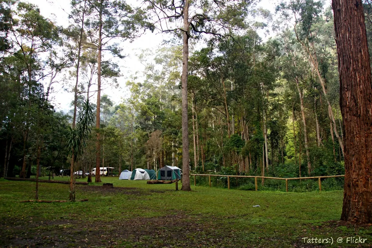 Archer Campground, Mount Delaney