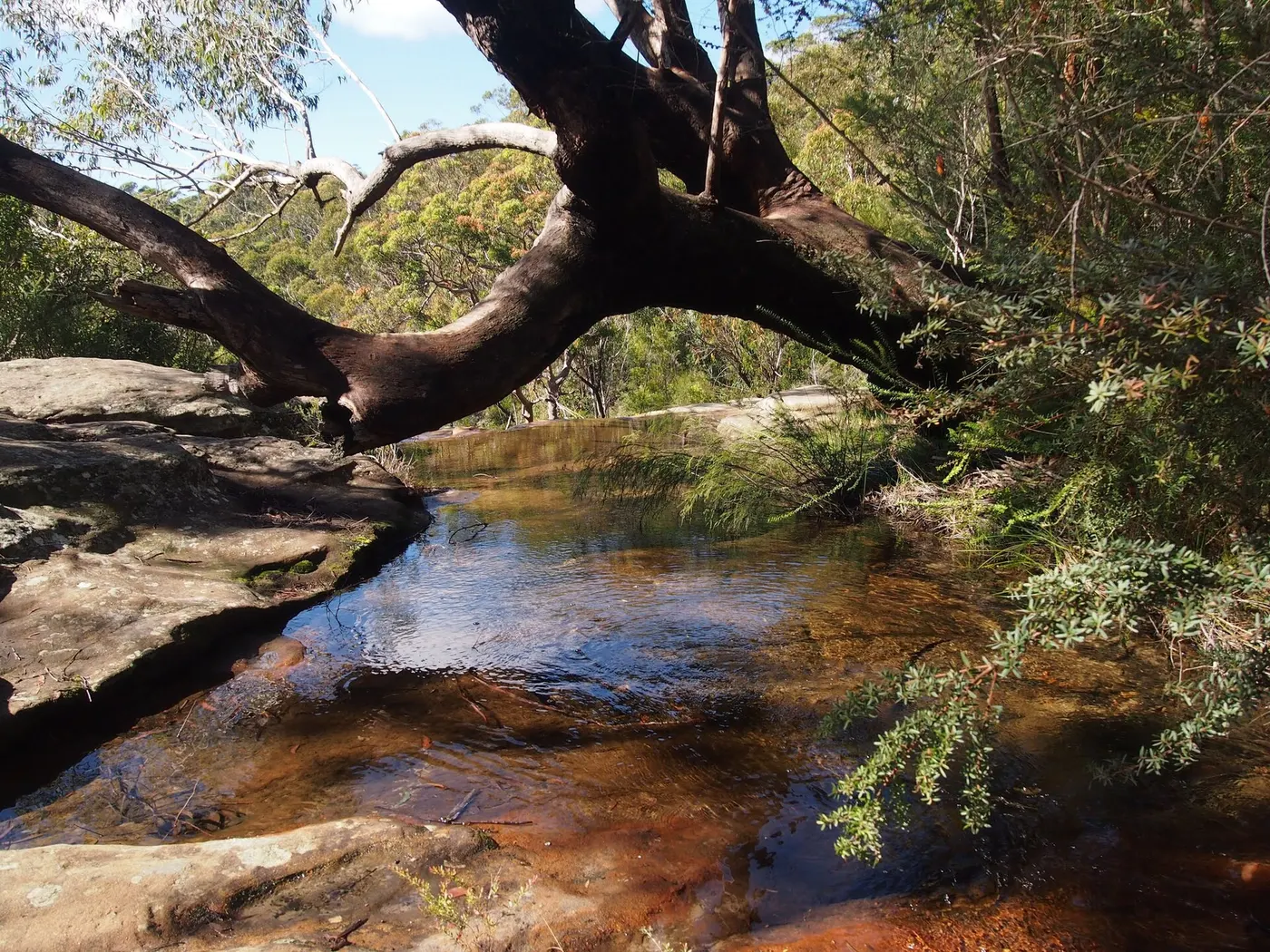 Uloola Falls camp, Royal National Park