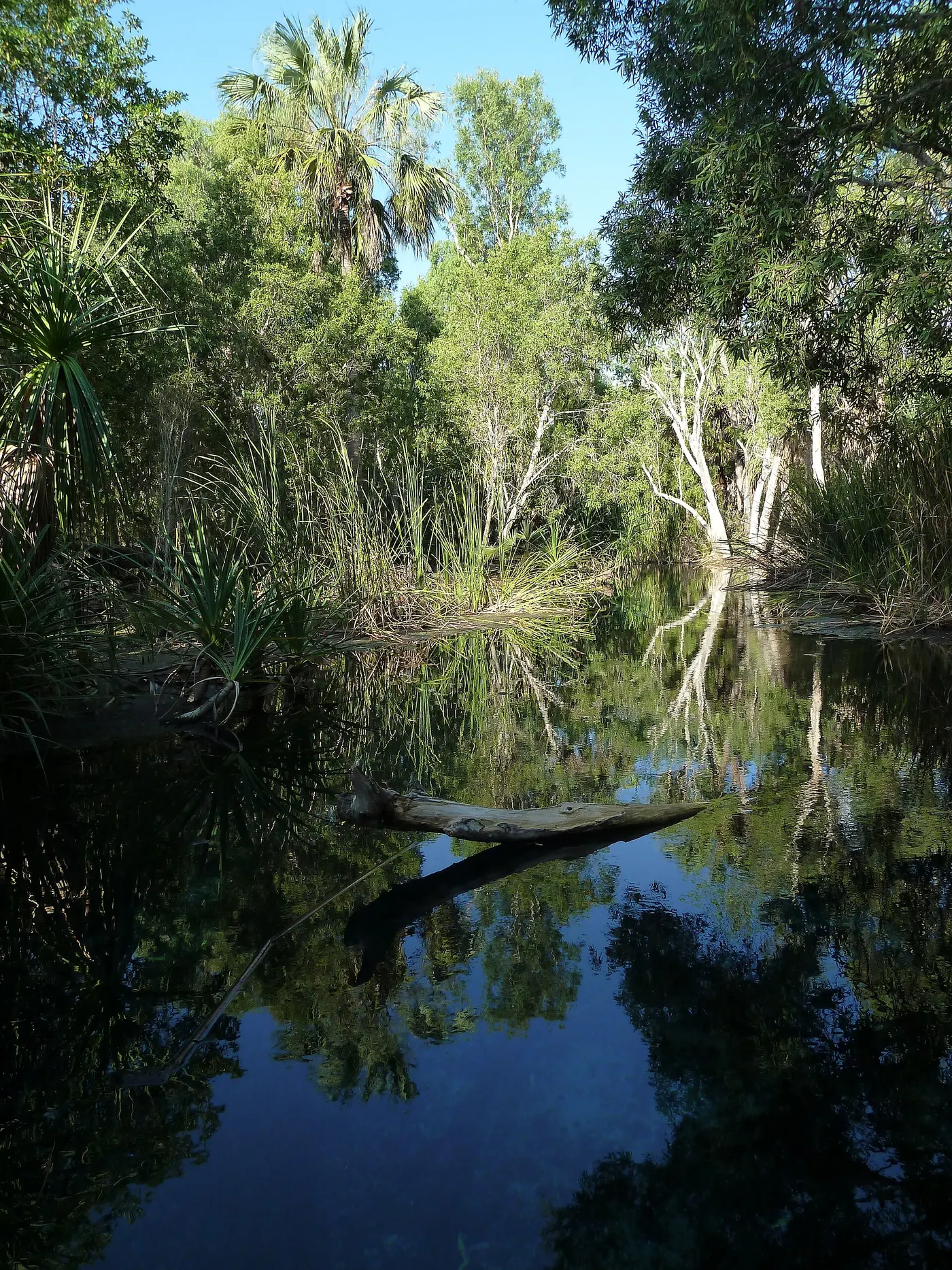 Bitter Springs Cabins and Camping, Mataranka
