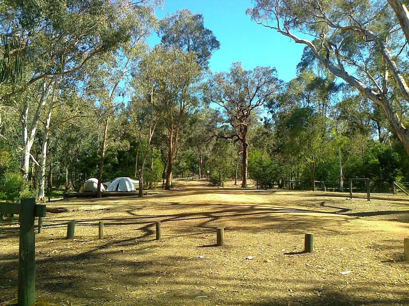 Candlebark Campground, Fraser Block, LNEP, Devils River