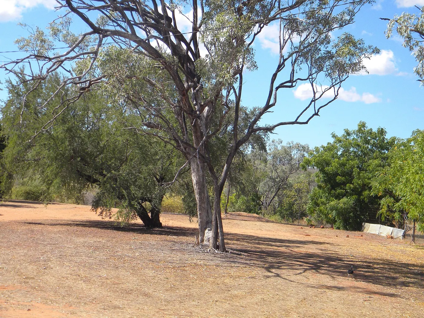 Forsayth Caravan Park, Forsayth
