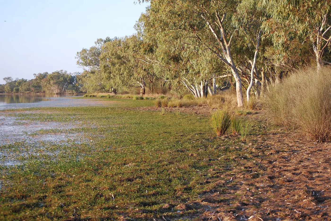 The Lake West Side, Quilpie
