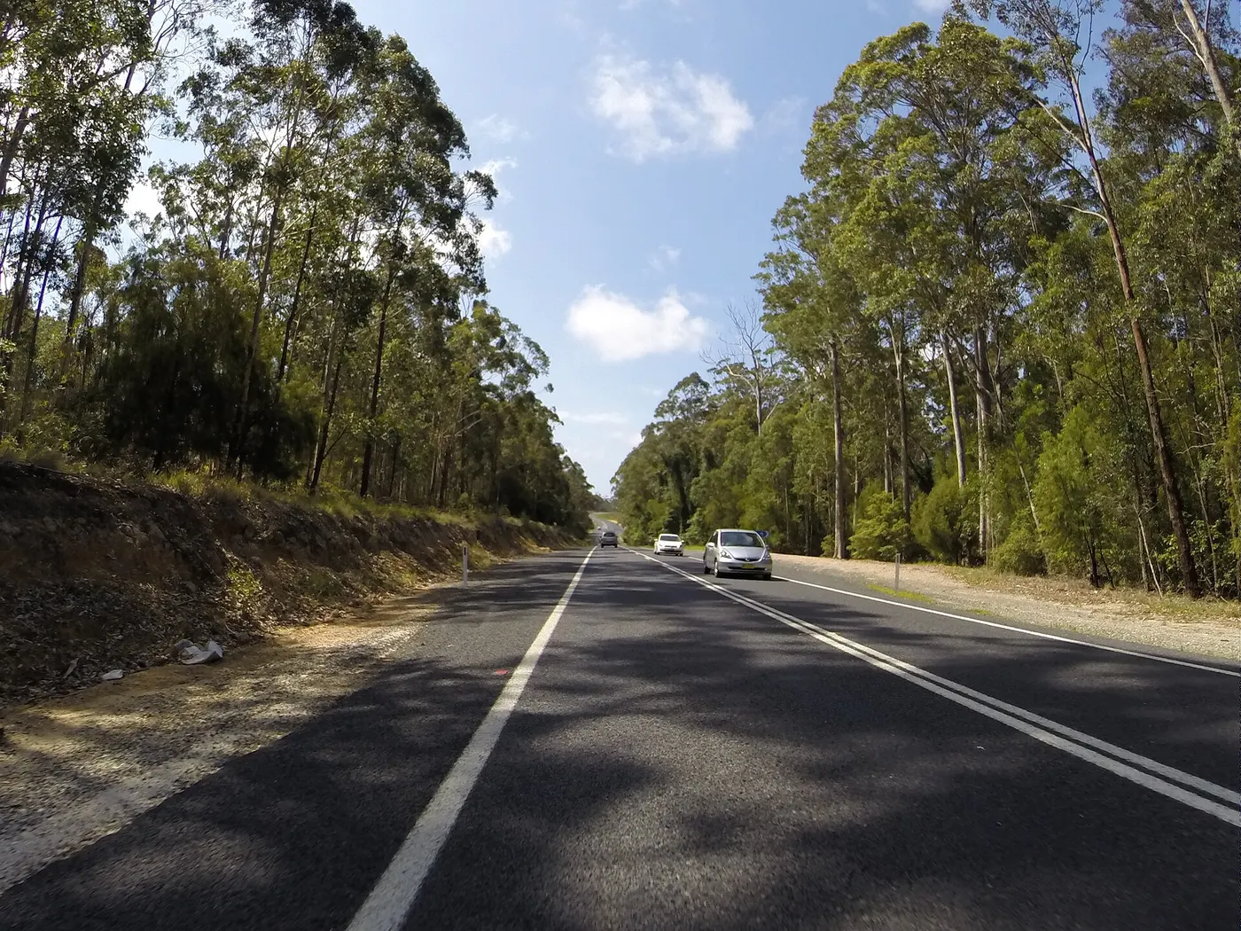 Bodalla Forest Park Rest Area, Bodalla