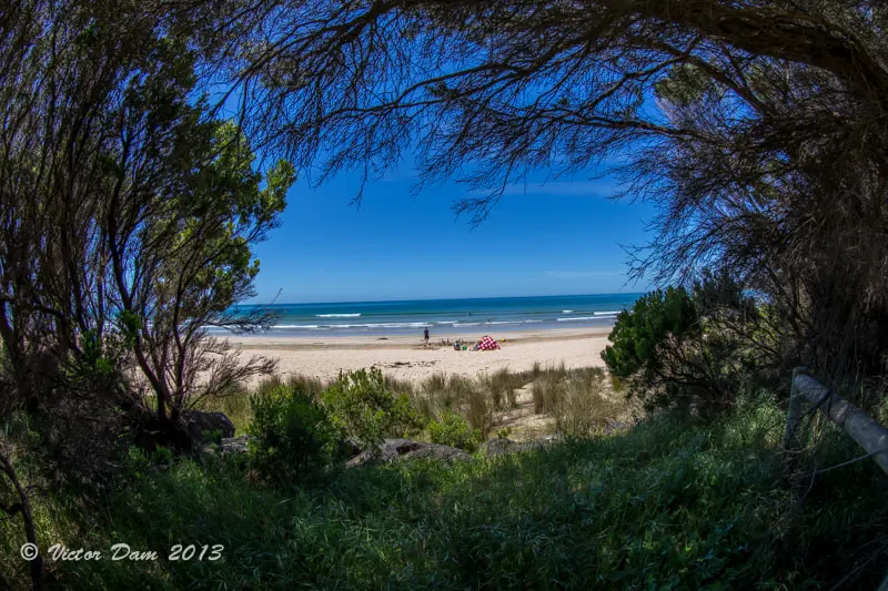 Lorne Foreshore Caravan Park - Ocean Road, Lorne