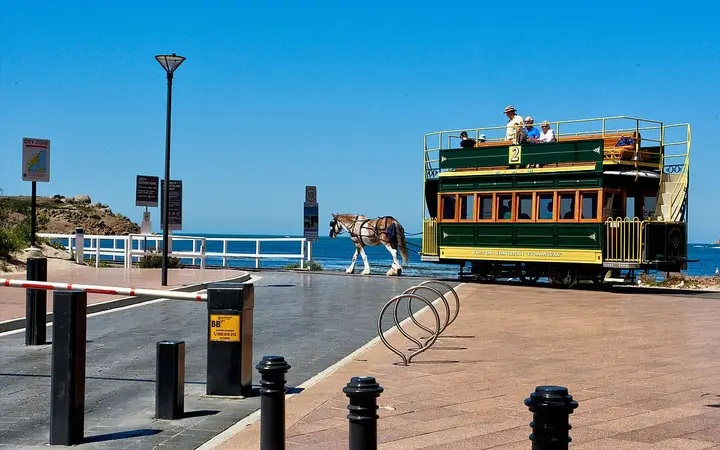 The horse-drawn tram at Victor Harbor