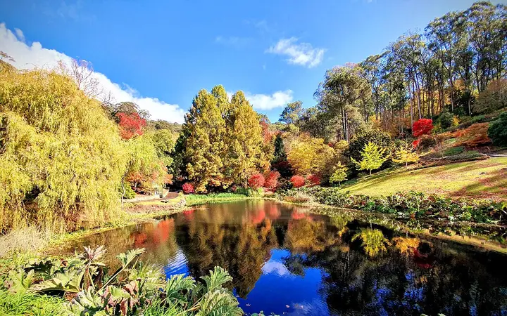 The lake at Mount Lofty Botanic Garden (autumn)