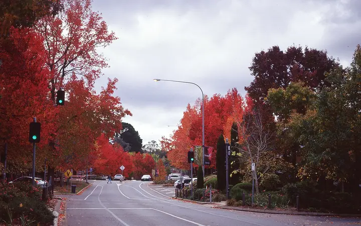 Stirling's main street in autumn, home of the Stirling Hotel