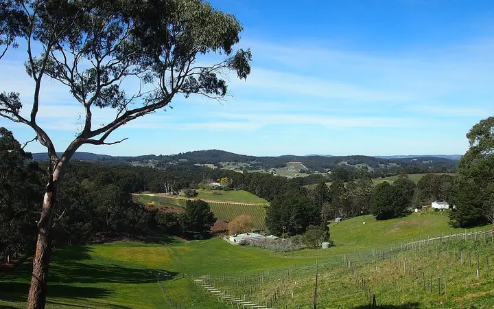 The Piccadilly Valley, where Tapanappa's cellar door and The Tiers vineyard sit