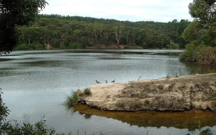 St Georges Lake in Creswick Regional Park