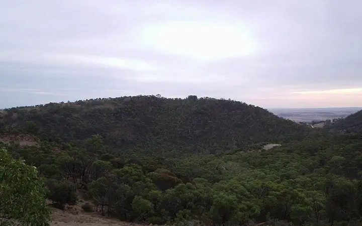 The Kaiserstuhl hills above the Barossa