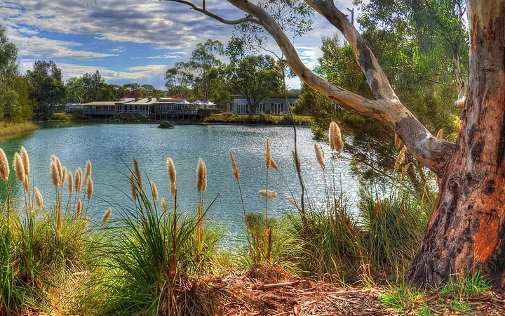 The dam at Maggie Beer's Farm Shop