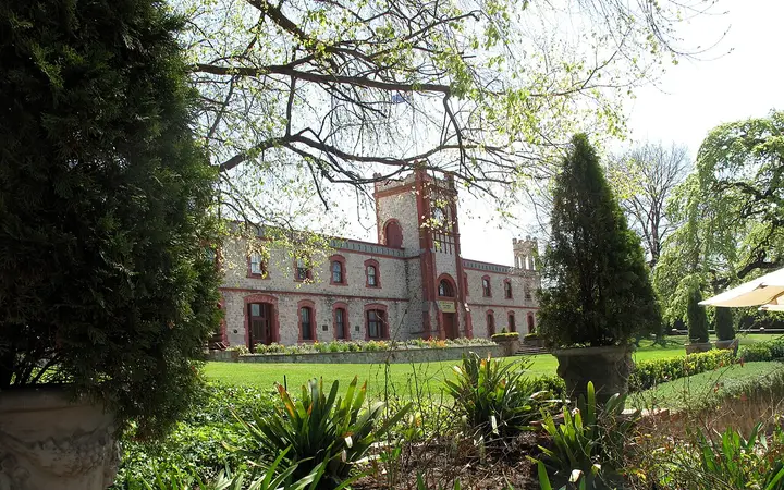Yalumba winery, Angaston