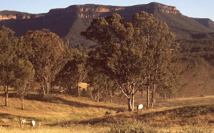 The escarpment above the Megalong Valley