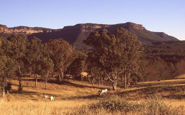 Farmland in the Megalong Valley