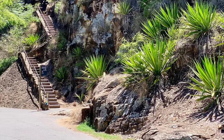 The staircase up the Kangaroo Point Cliffs