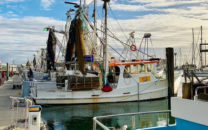 Trawlers in Scarborough Boat Harbour, beside Morgans