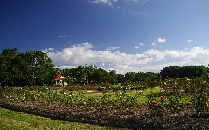 The rose gardens and rotunda at New Farm Park