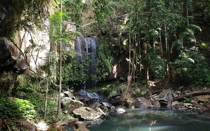 Curtis Falls and its pool, Tamborine National Park