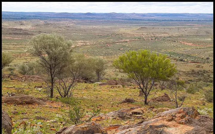 The plains from the Living Desert hills